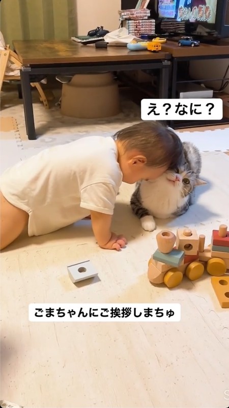 頭を押し込む赤ちゃん