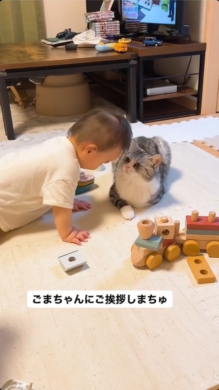 顔を近づける赤ちゃん