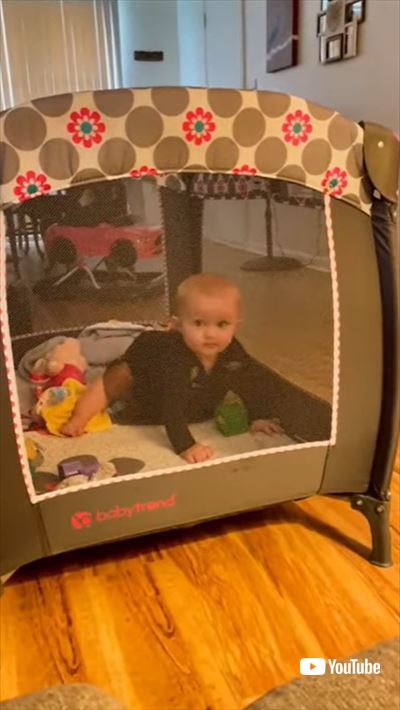 メッシュネットに顔突っ込む赤ちゃん