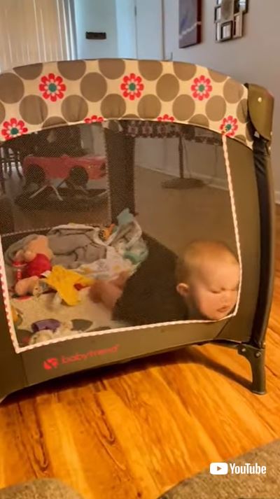 メッシュネットに顔突っ込む赤ちゃん