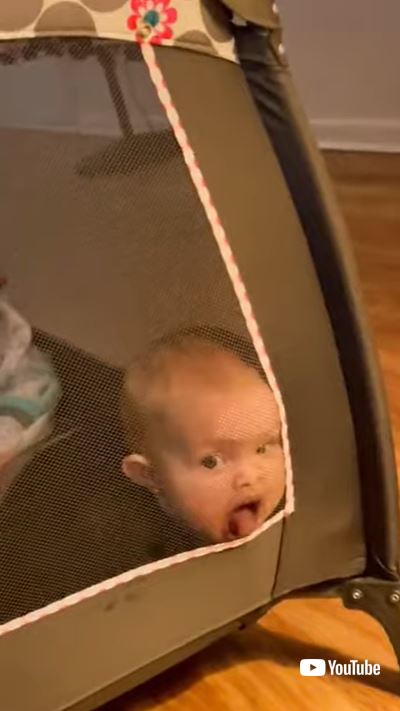 メッシュネットに顔突っ込む赤ちゃん