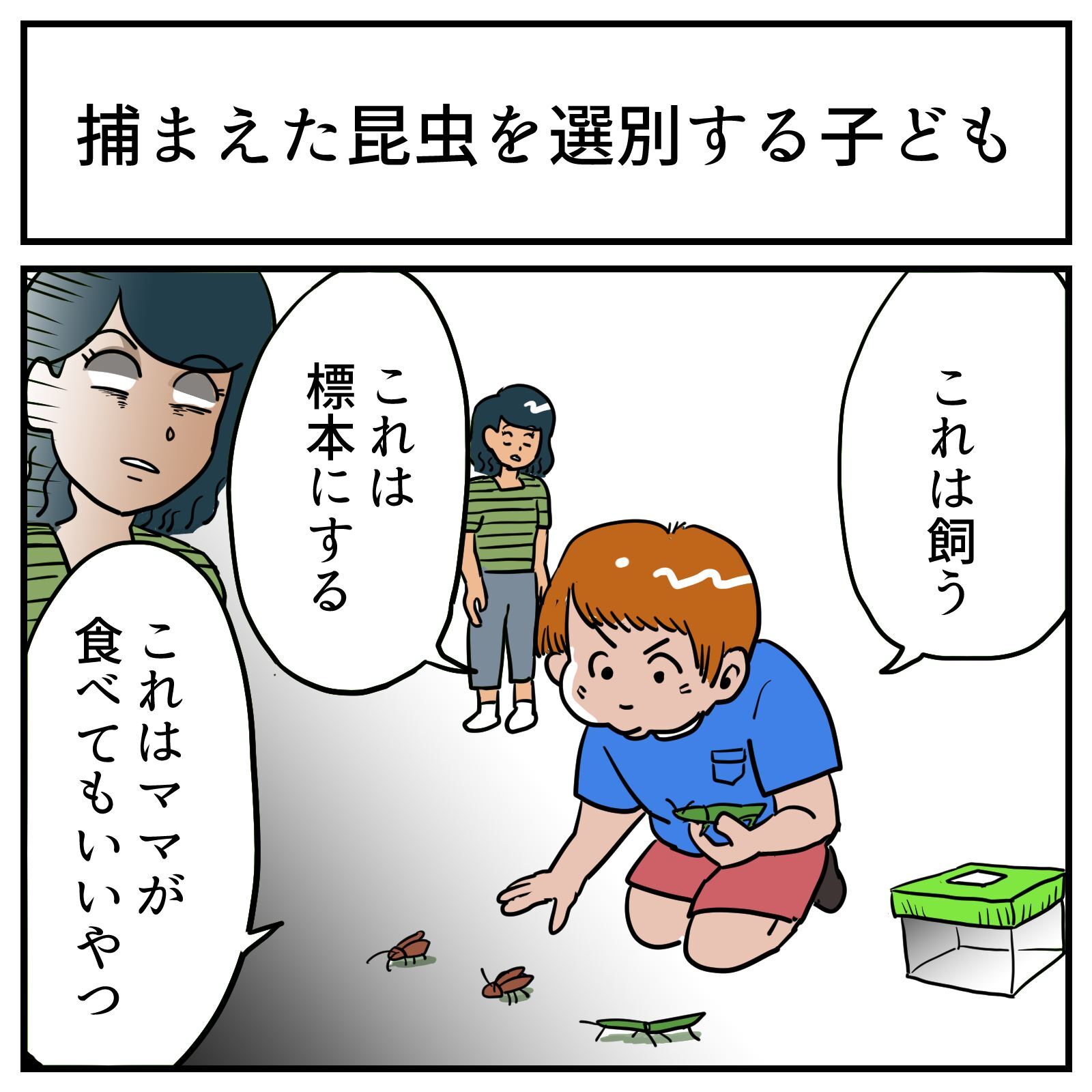 「これは標本、これはママが食べていいやつ」　昆虫採集してきた息子が始めた選別が不穏
