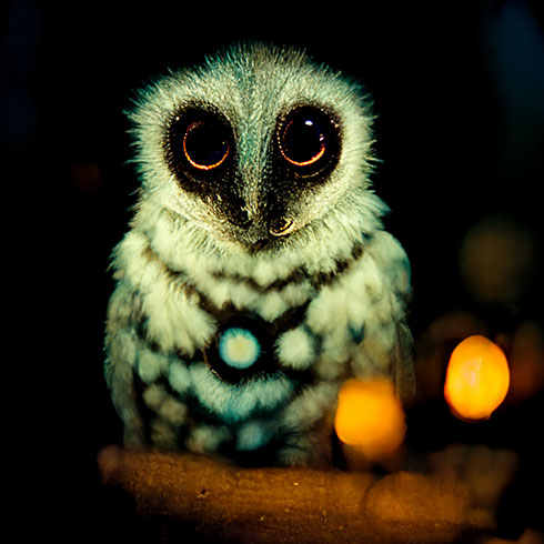 画像内テキスト