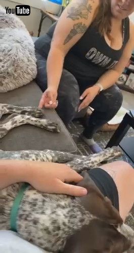 肉球をくするぐ女性と犬