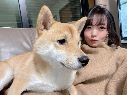 飼い主と犬のサンちゃん