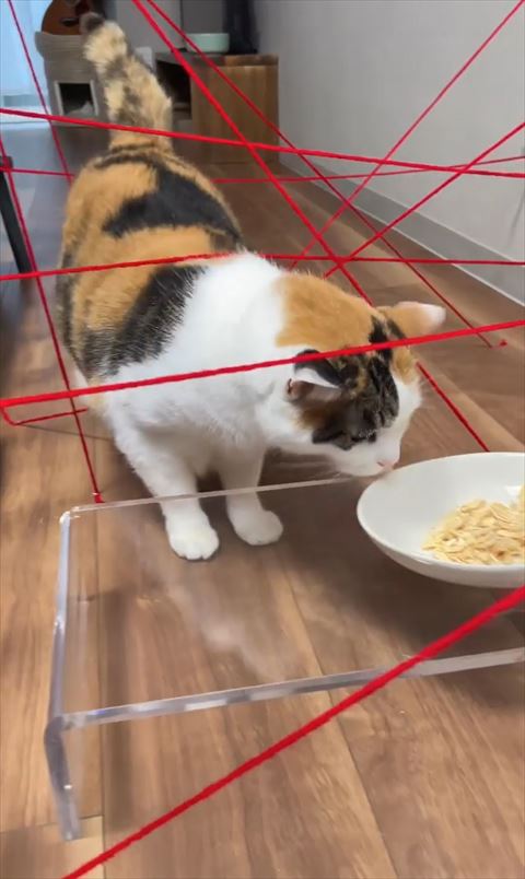 ごはんの匂いかぐ