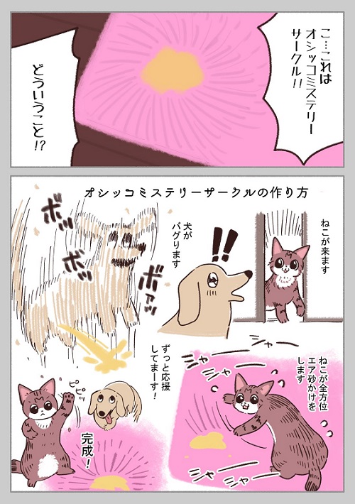 犬と猫の漫画1