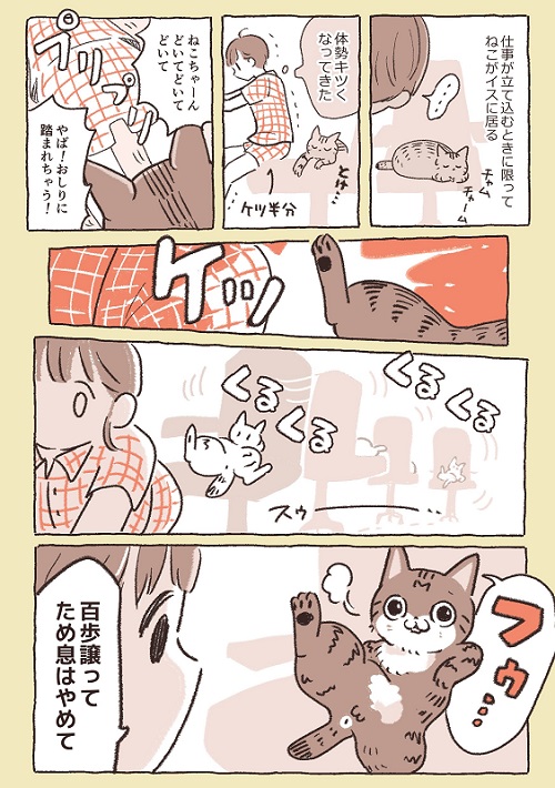 猫漫画1