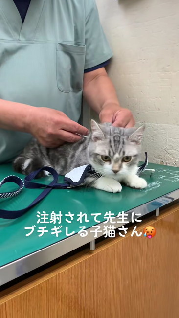 おすすめ