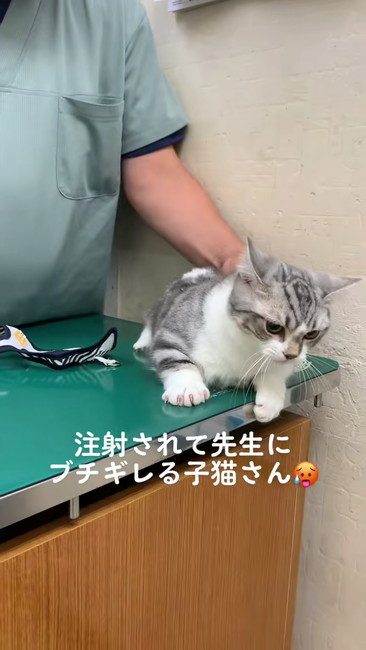 逃げようとする