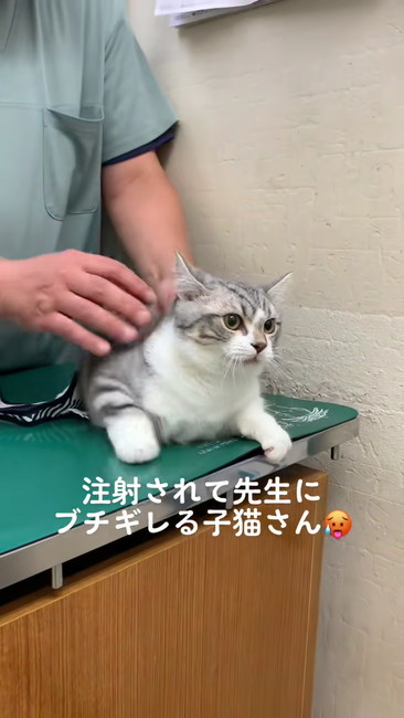 一旦落ち着いて