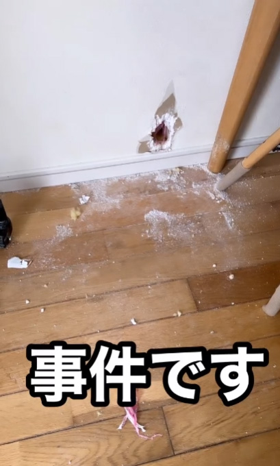 アメリカンブリー