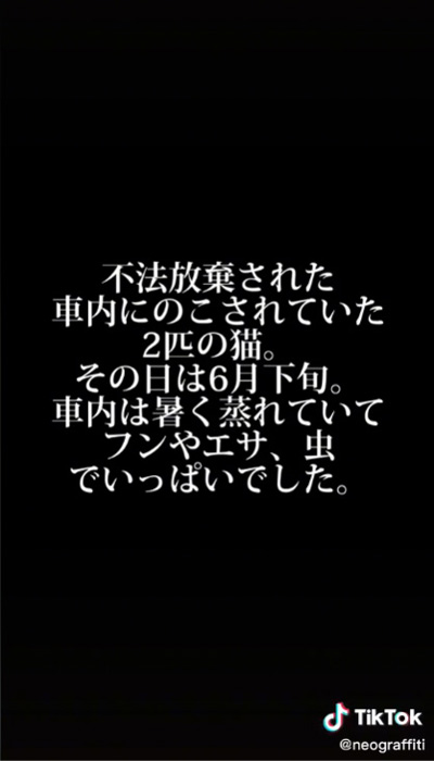 不法投棄された〜字幕の画像