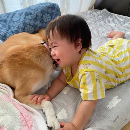 笑顔な赤ちゃんと柴犬