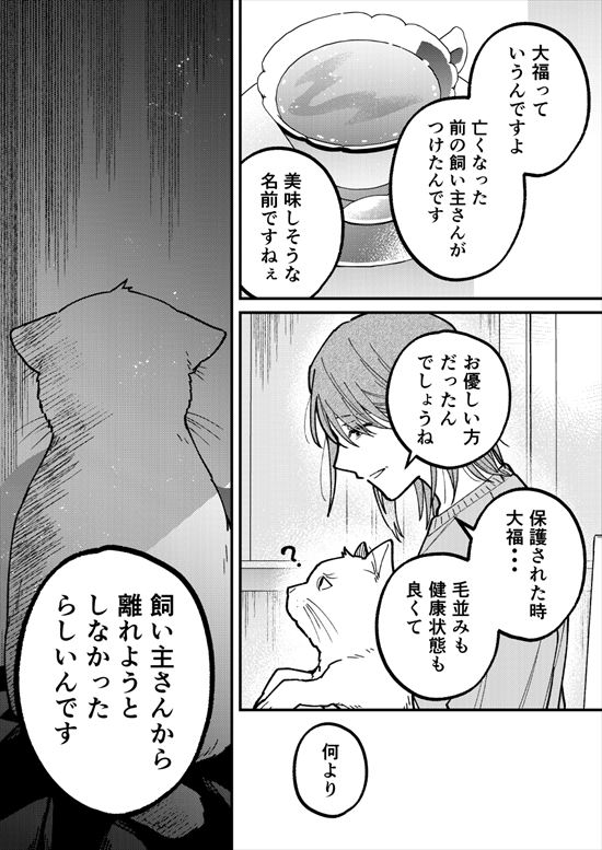 幽霊が視える葬儀屋さんと猫好きおじさん