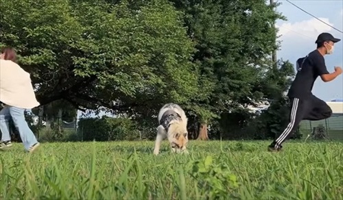 立ち位置を交換するパパとママ