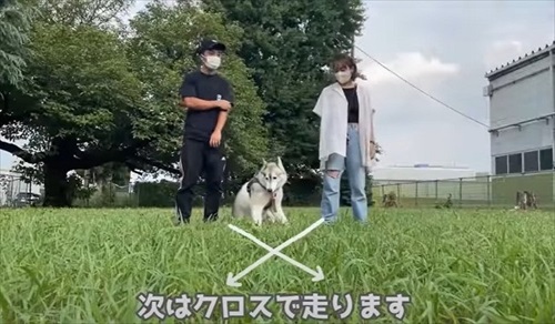 クロスで走るパパとママ