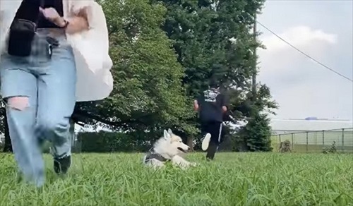 前後に走るパパとママ