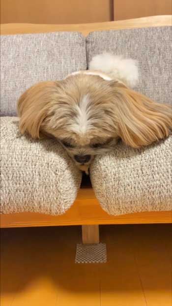 ムスーとした表情