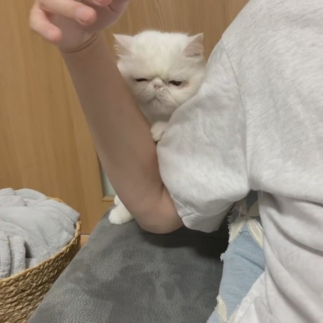 抱きつきコロンくん