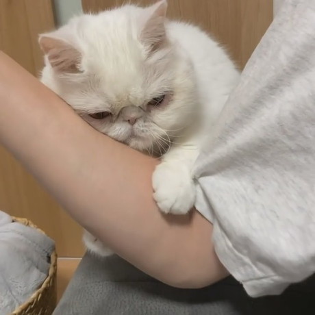 さらに抱きつくコロンくん