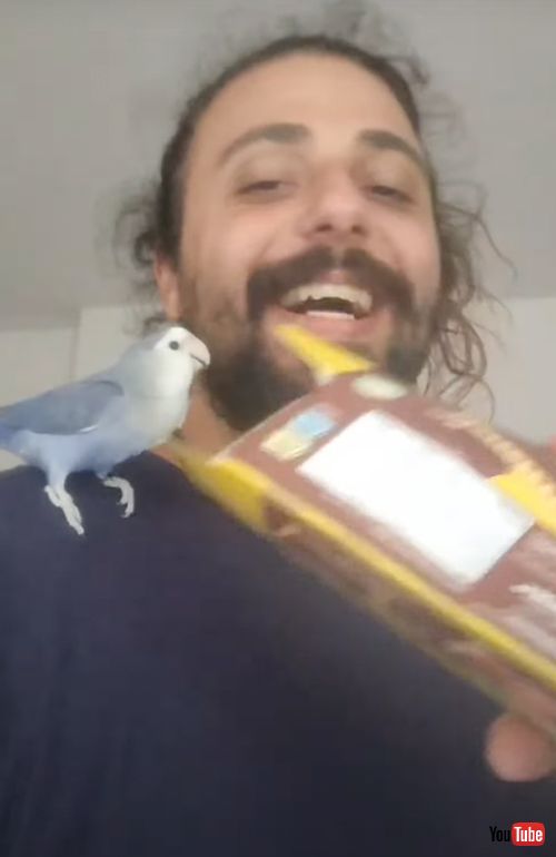 箱に向かって叫ぶインコ