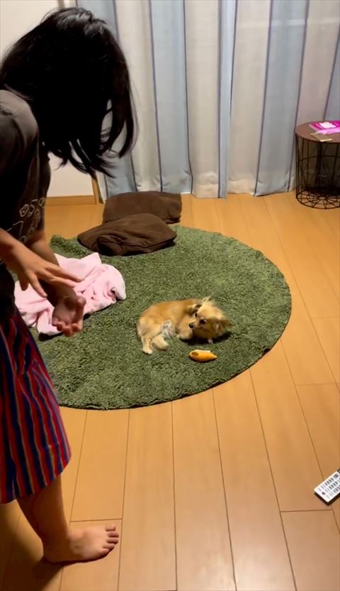 寝ながら姉の手を見ている