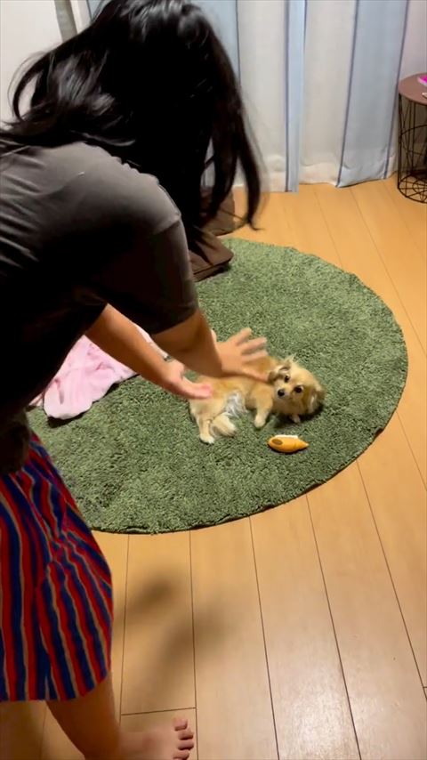 手のひら見ている