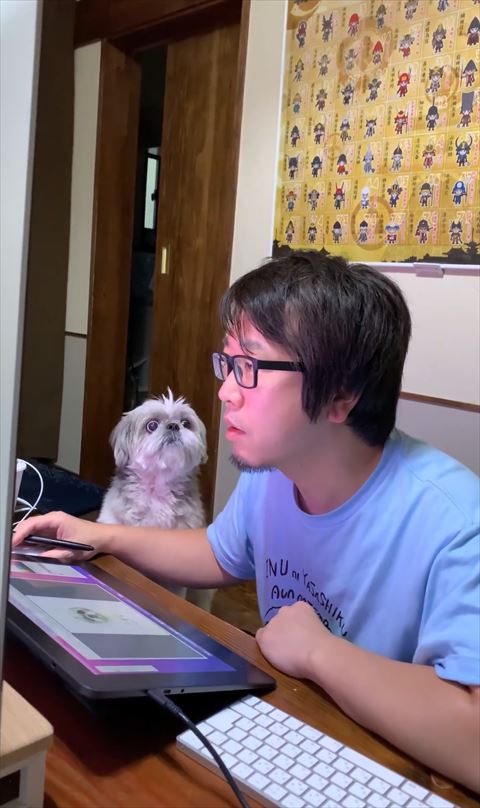 飼い主を見つめるワンコ