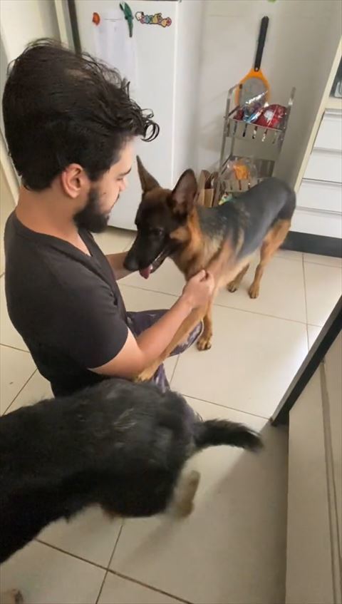 飼い主の足に前足を乗せるワンコ