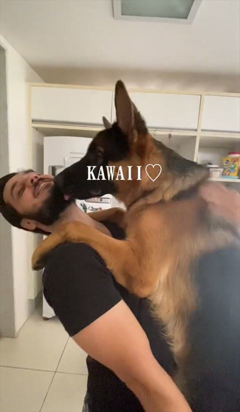 顔をなめるワンコ