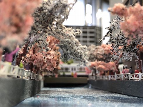 目黒川の桜並木