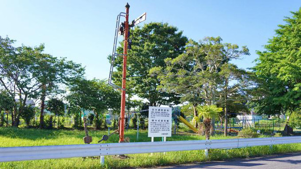 鴨川「うにとさざえめし」（1200円）