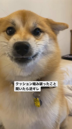 逆ギレはっちゃん