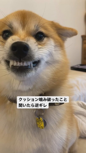 逆ギレはっちゃん