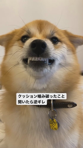 逆ギレはっちゃん