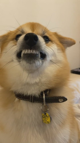 逆ギレはっちゃん