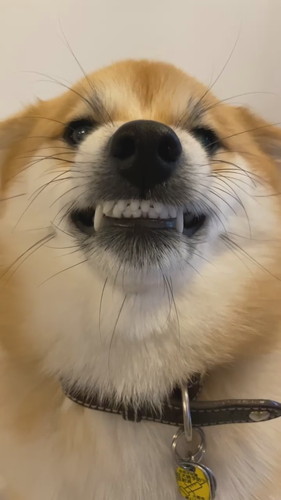 逆ギレはっちゃん