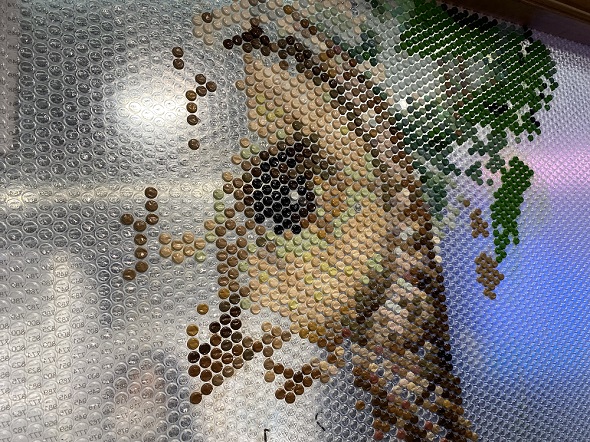 生態系プチプチアート トヨタのサステナビリティ実験