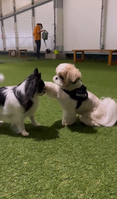 ツンツンしてる顔よおく見える