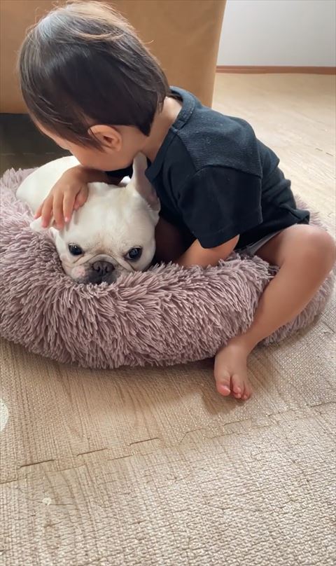 赤ちゃんとフレブル