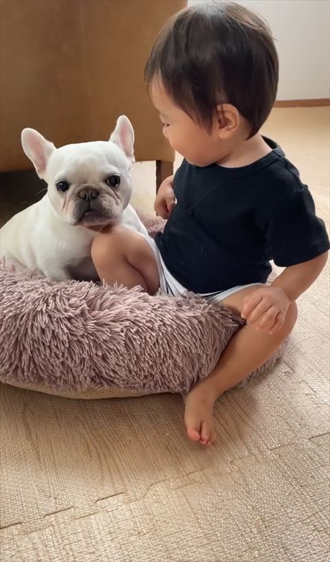 ワンコを見てる息子さん