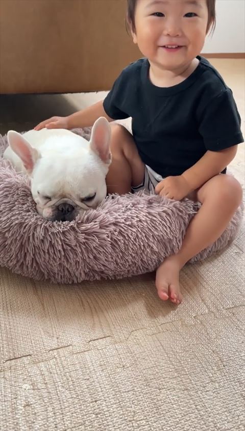 笑顔でなでる息子さん