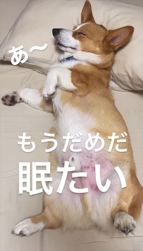 もうだめだ眠たいテロップ
