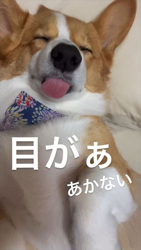 目があかないテロップ