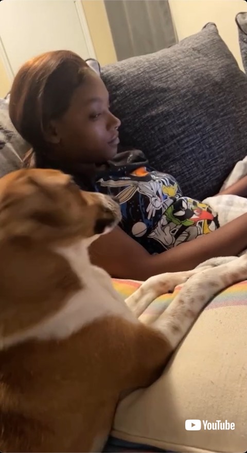 飼い主が振り返るのに気付く犬