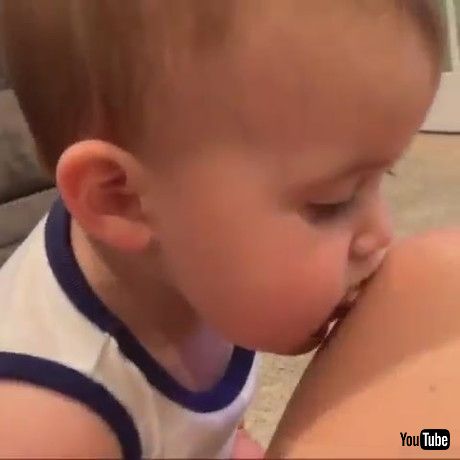 「Toddler Boy Mimics Pet Dog by Licking Mom’s Leg Like the Dog - 1361151」