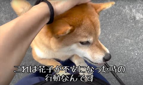 不安になったときの行動テロップ