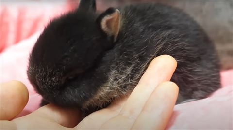 人差し指なめてる