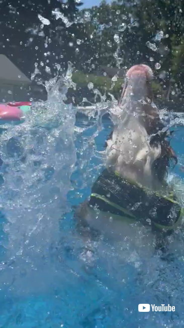 おおはしゃぎ犬